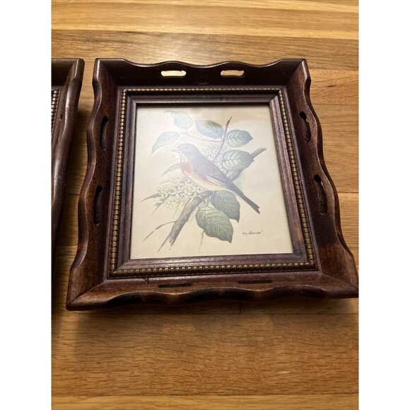 Vintage Wood/Scallop Framed Bird Ornithology Prints Ph. Gommer Bluebird/Female - Picture 7 of 9